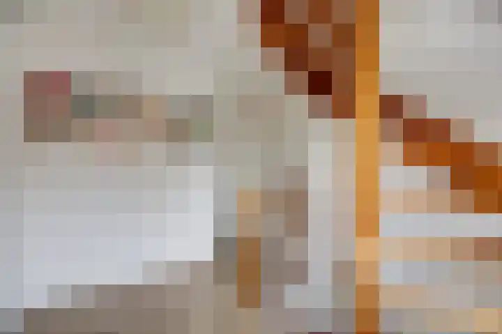 Sint Stephanusstraat 12 Didam thumbnail 45