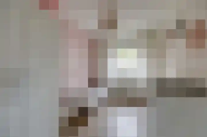 Sint Stephanusstraat 12 Didam thumbnail 50
