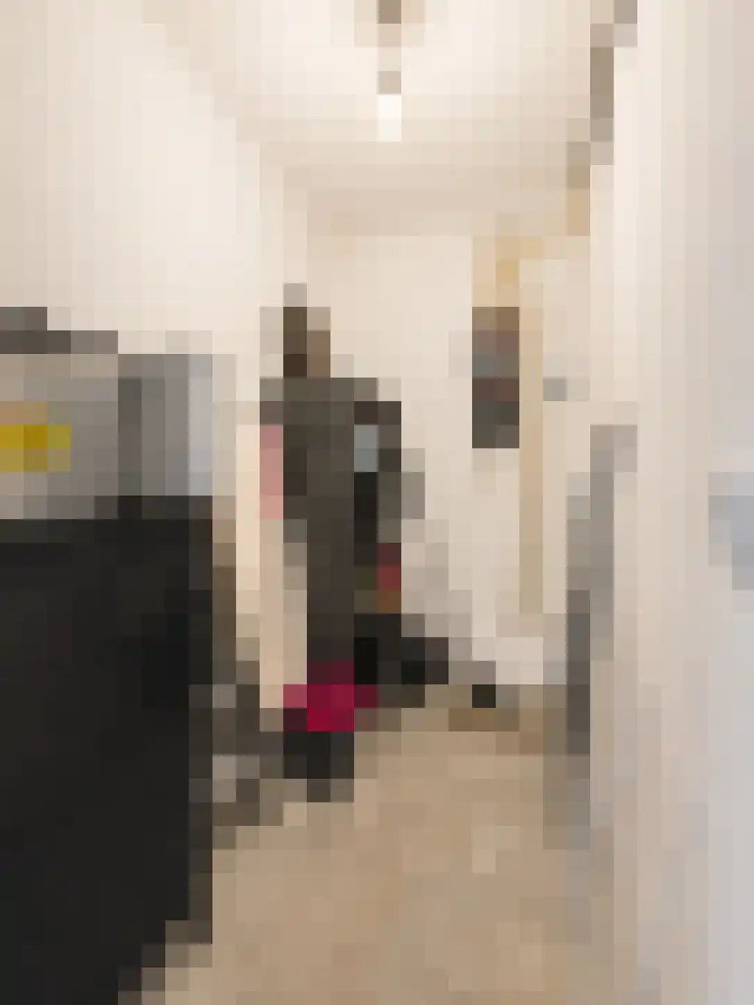 Sint Teunisstraat 11 B Maastricht thumbnail 34