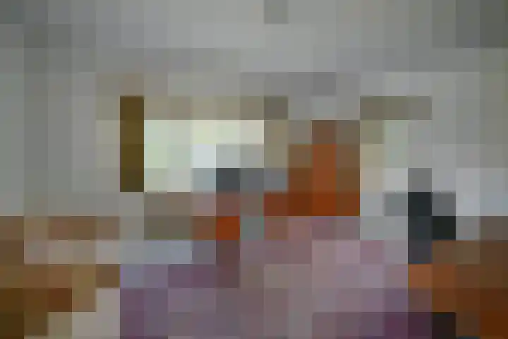 Sint Theresiaplein 3 Maastricht thumbnail 12