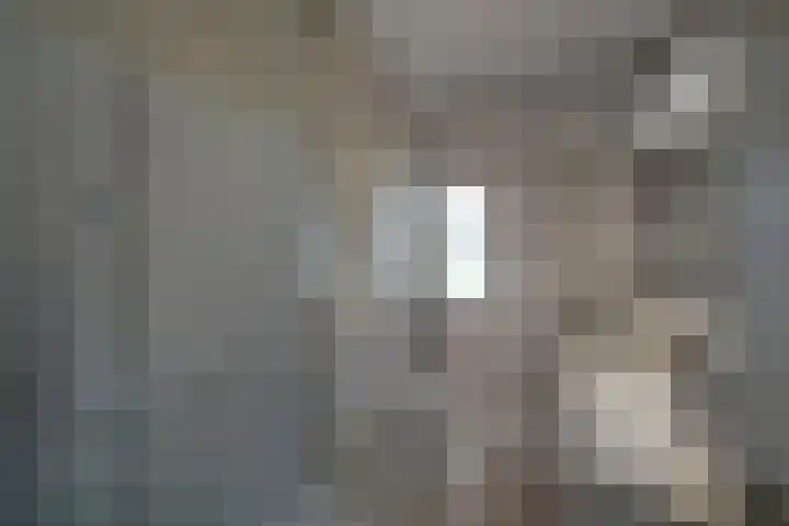 Sint Theresiaplein 3 Maastricht thumbnail 13