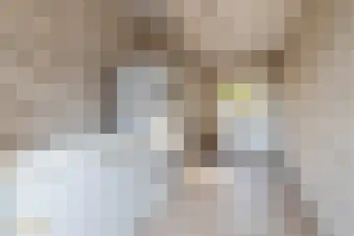 Sint Theresiastraat 2 a Reuver thumbnail 13