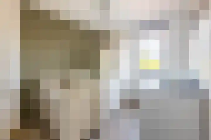 Sint Theresiastraat 2 a Reuver thumbnail 16