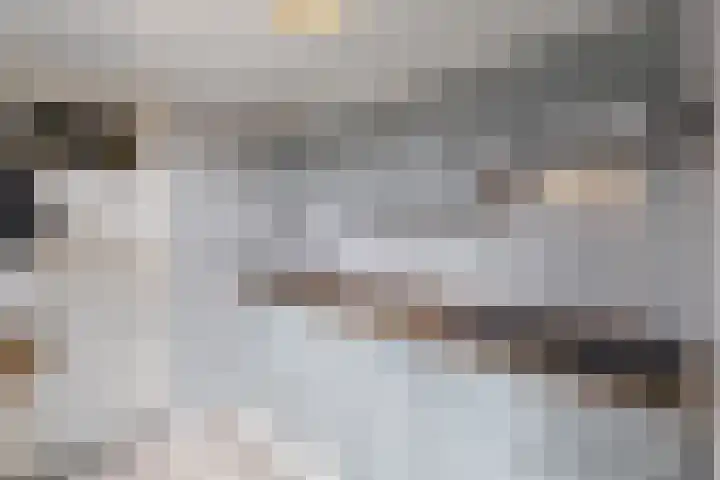 Sint Theresiastraat 25 Roosendaal thumbnail 12