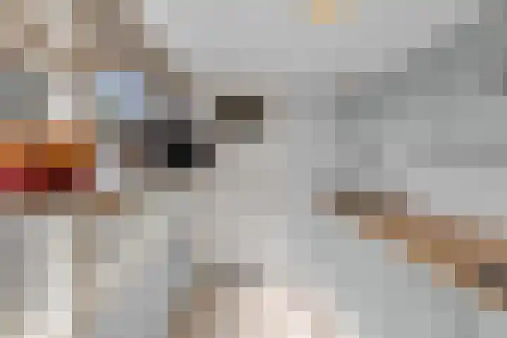 Sint Theresiastraat 25 Roosendaal thumbnail 13