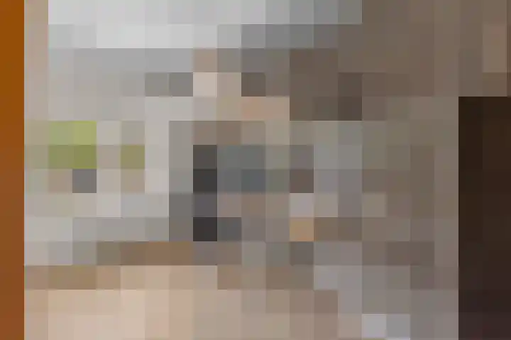 Sint Theresiastraat 25 Roosendaal thumbnail 27