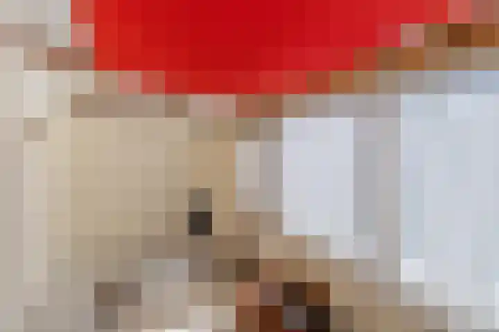 Sint Theresiastraat 25 Roosendaal thumbnail 32