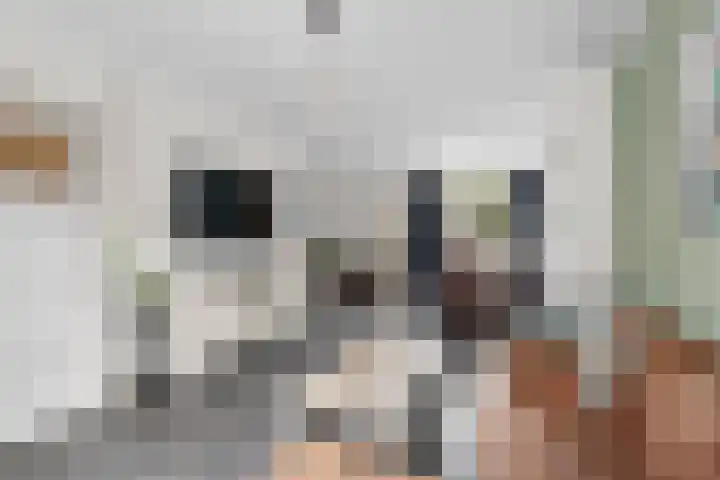 Sint Theresiastraat 25 Roosendaal thumbnail 6