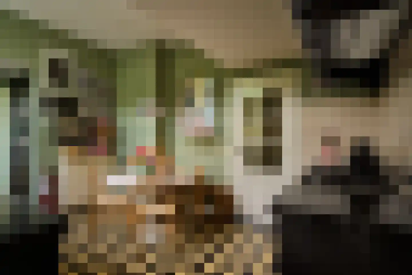 Sint Urbanusweg 32 Venlo thumbnail 8
