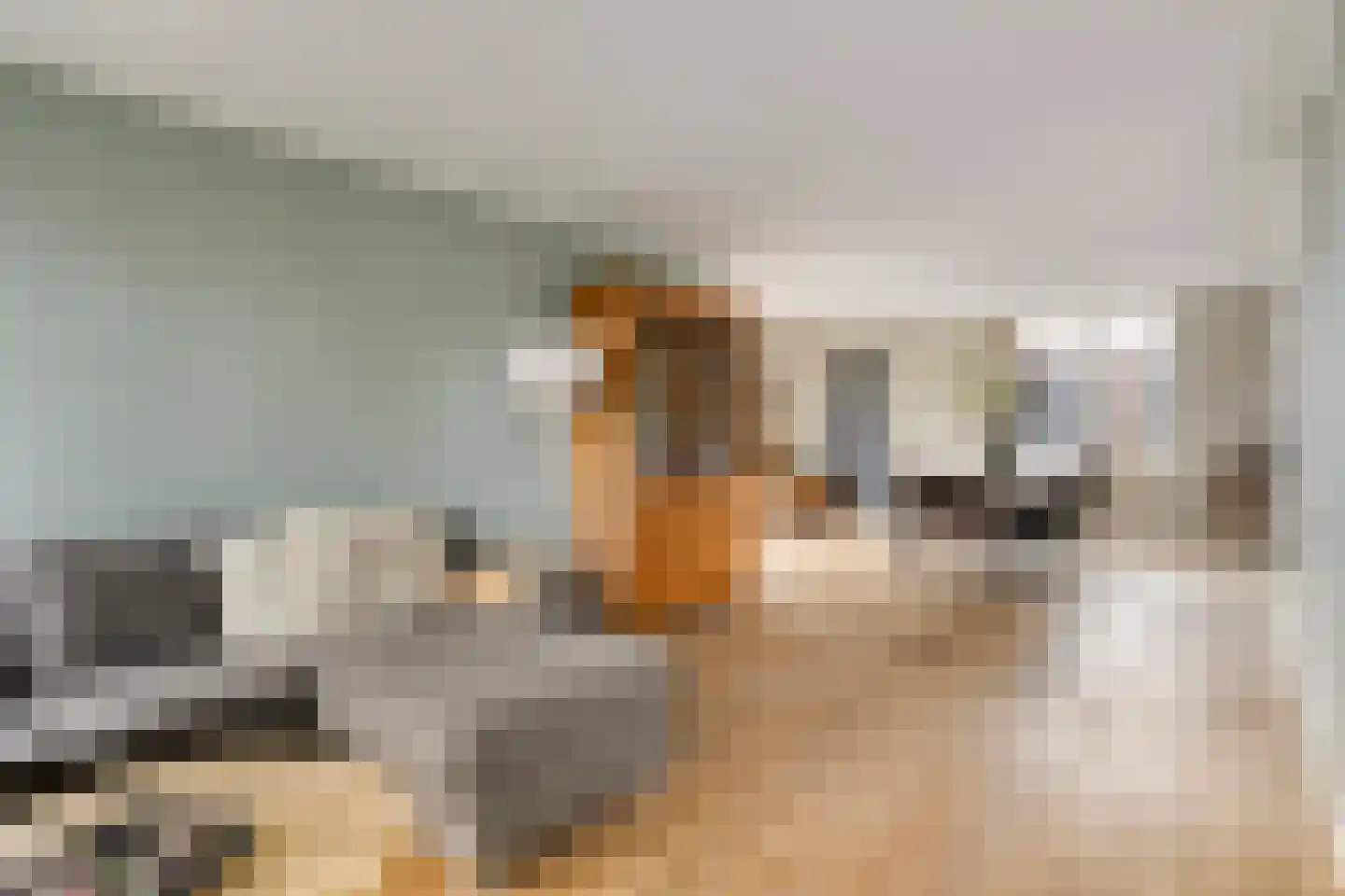 Sint Ursulahof 73 Kessel thumbnail 8