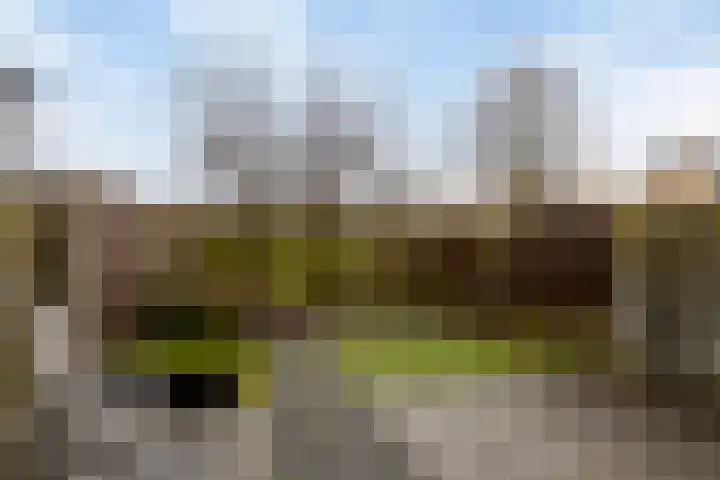 Sint Victor 10 Bergeijk thumbnail 23