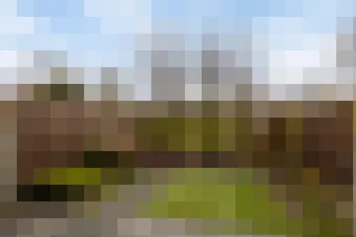 Sint Victor 10 Bergeijk thumbnail 24