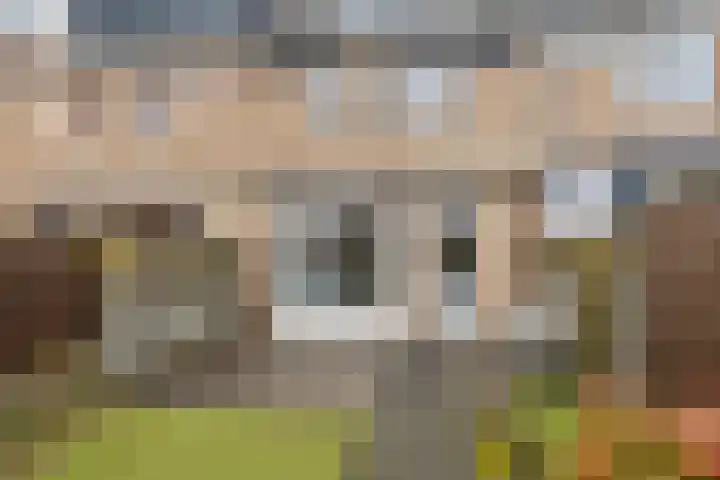 Sint Victor 10 Bergeijk thumbnail 26