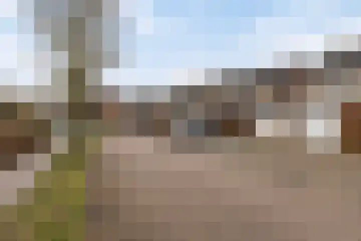 Sint Victor 10 Bergeijk thumbnail 27