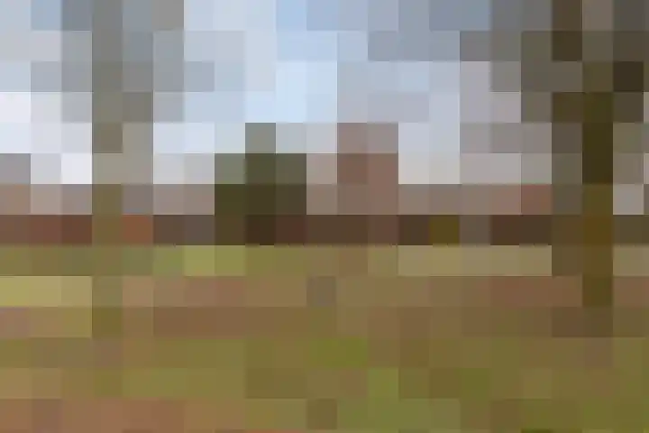 Sint Victor 10 Bergeijk thumbnail 28
