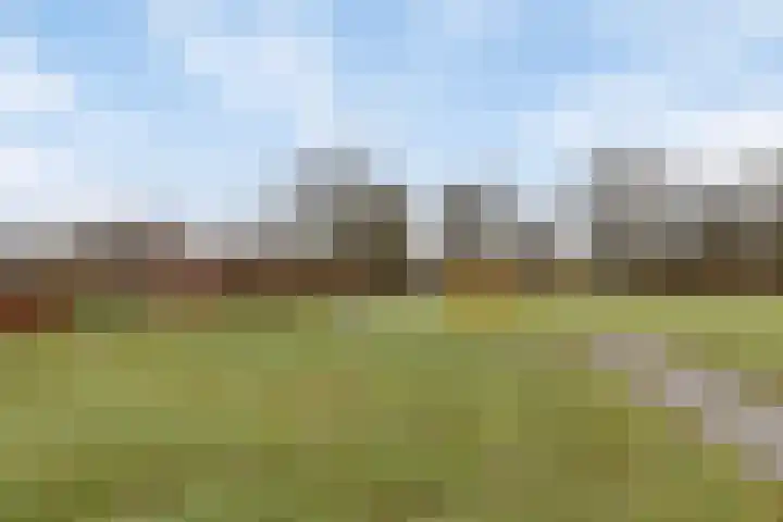 Sint Victor 10 Bergeijk thumbnail 29