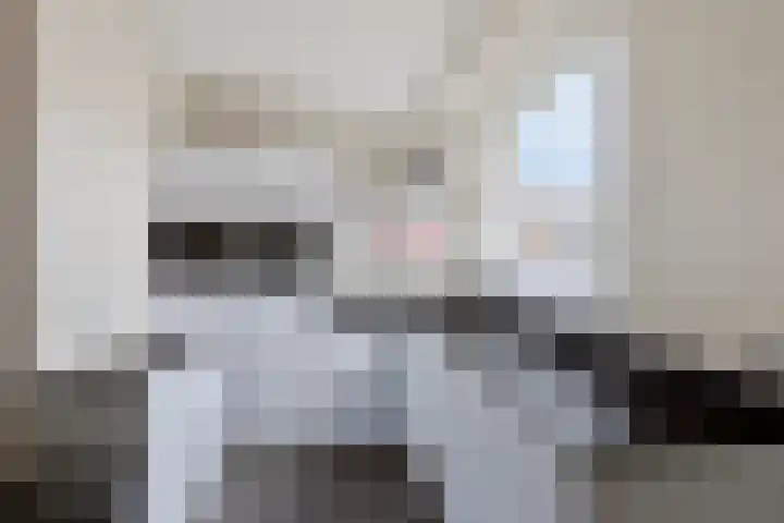 Sint Victor 10 Bergeijk thumbnail 8
