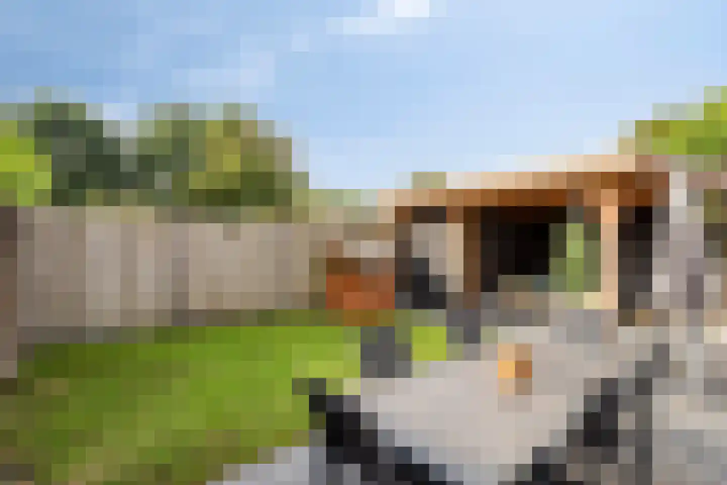 Sint Victor 14 Bergeijk thumbnail 24