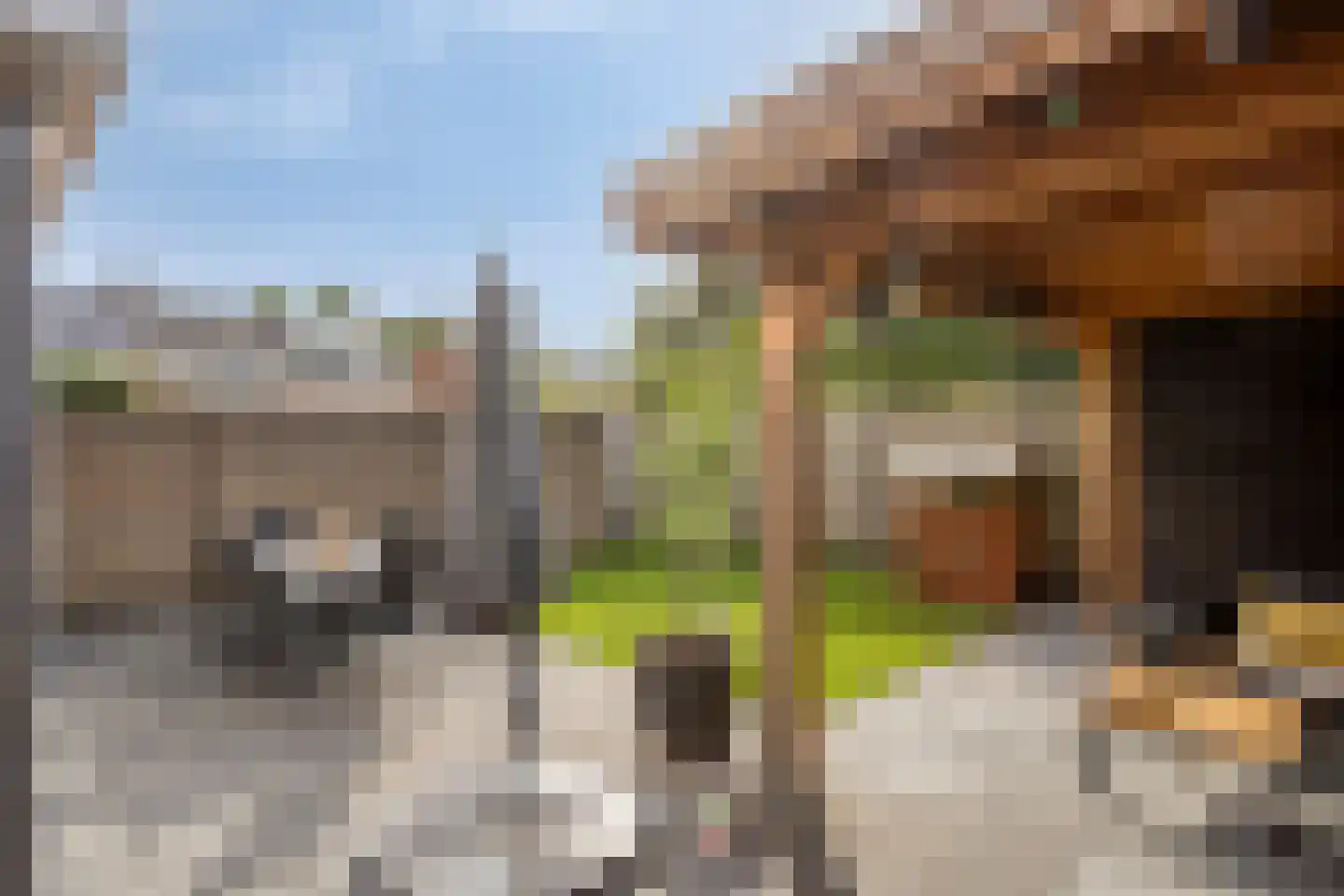 Sint Victor 14 Bergeijk thumbnail 26