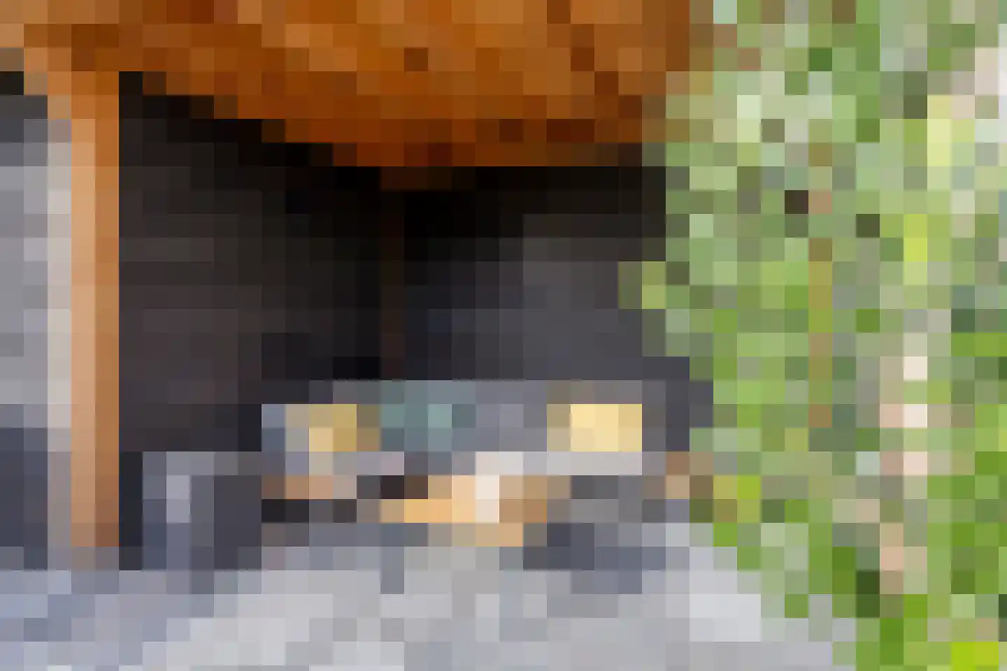 Sint Victor 14 Bergeijk thumbnail 27