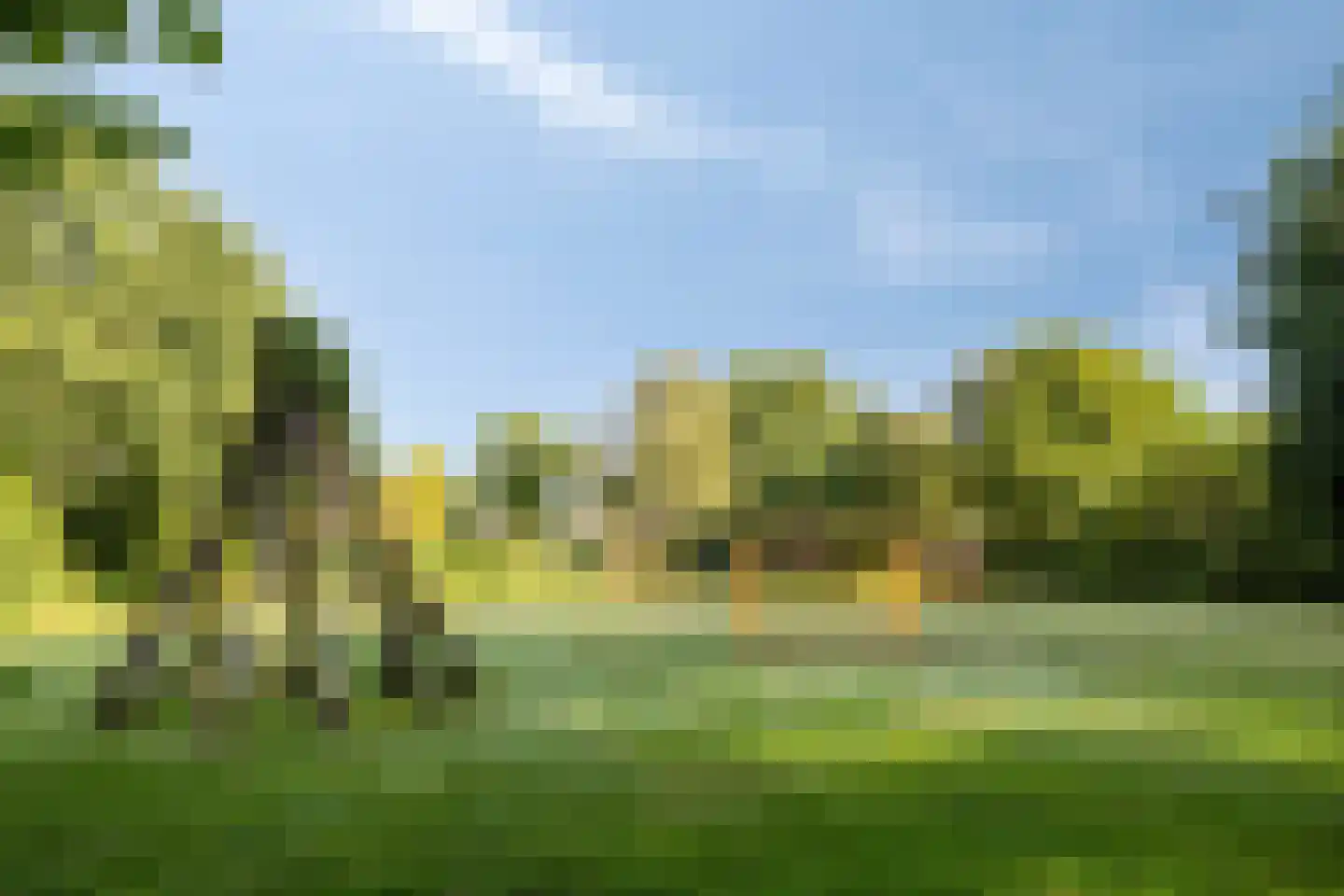 Sint Victor 14 Bergeijk thumbnail 30
