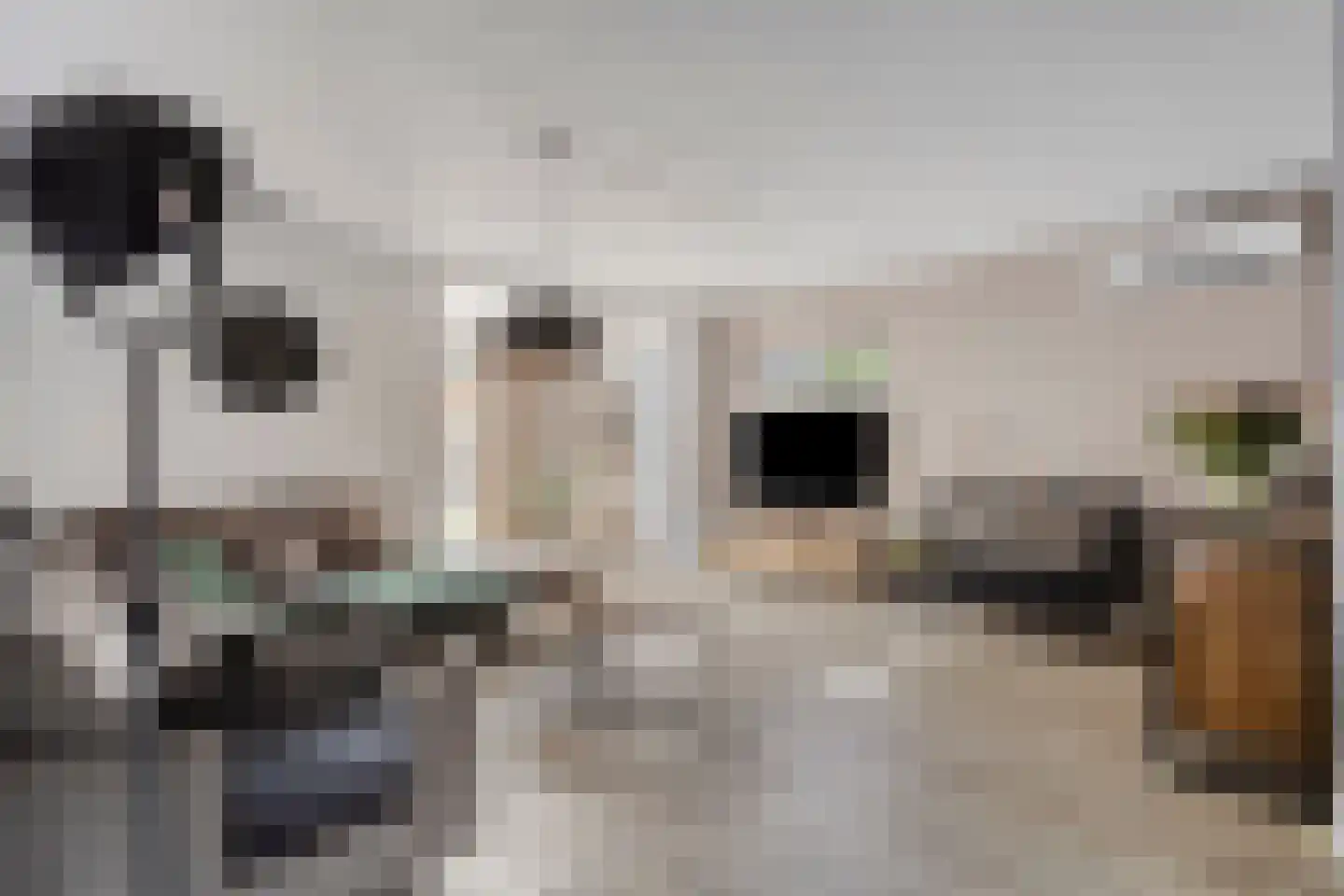 Sint Victor 14 Bergeijk thumbnail 6