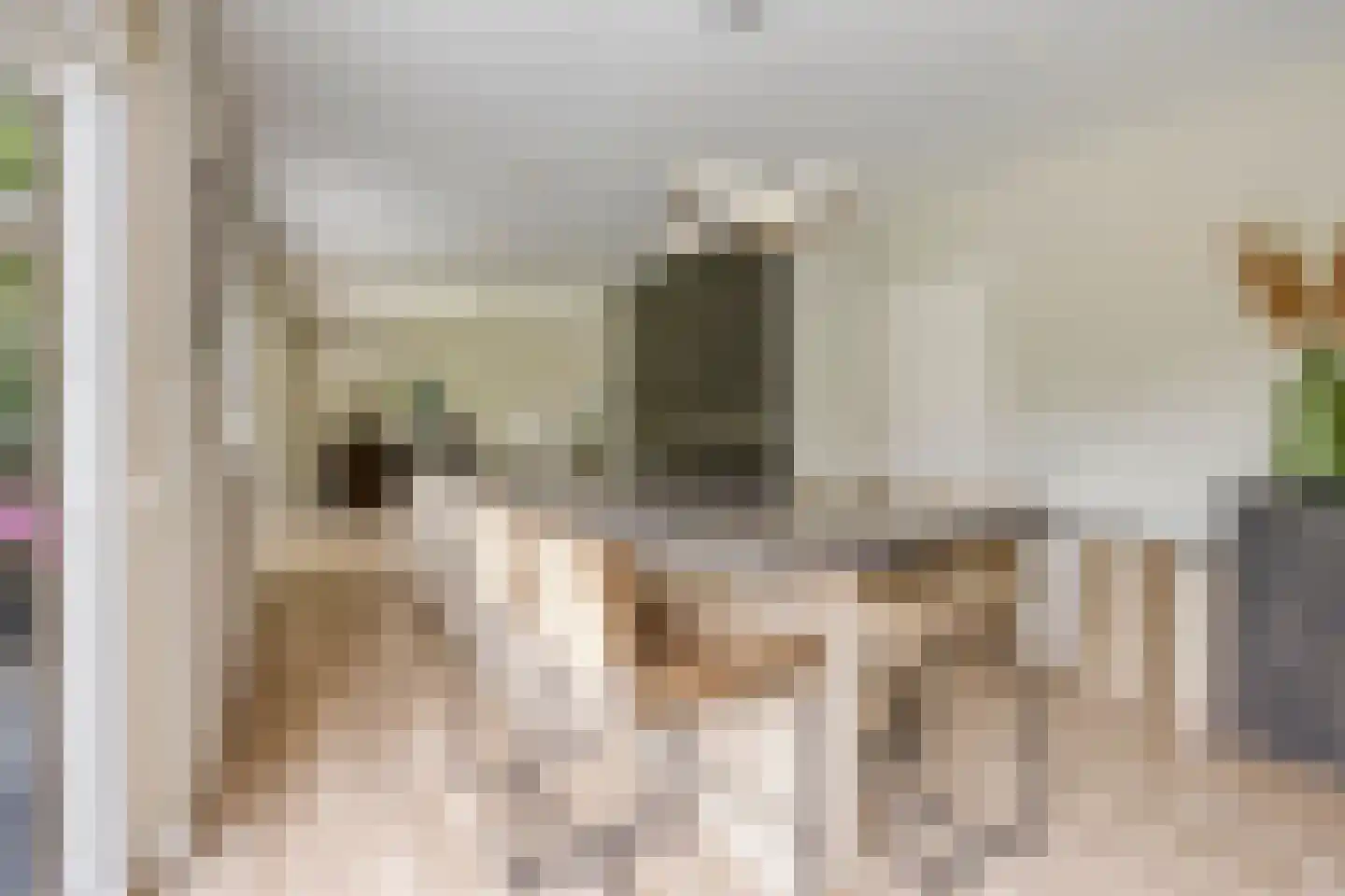 Sint Victor 2 Bergeijk thumbnail 13