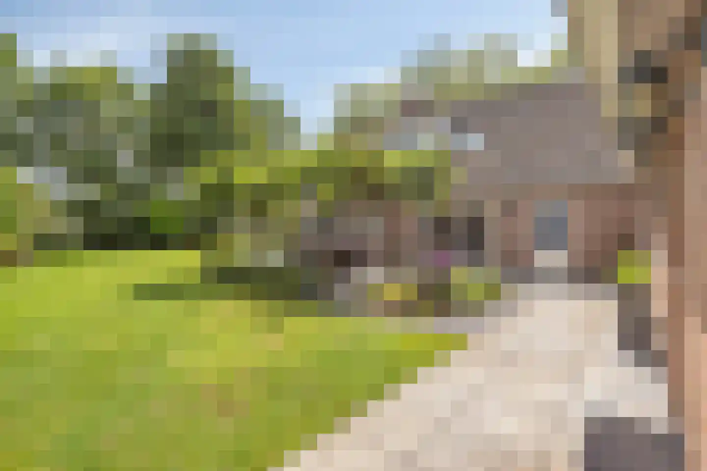 Sint Victor 2 Bergeijk thumbnail 44