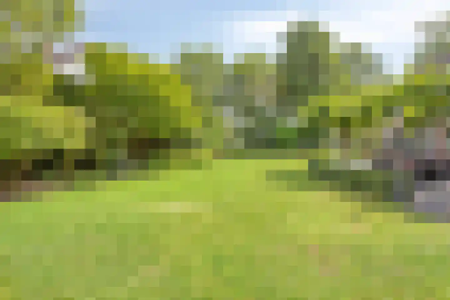 Sint Victor 2 Bergeijk thumbnail 45