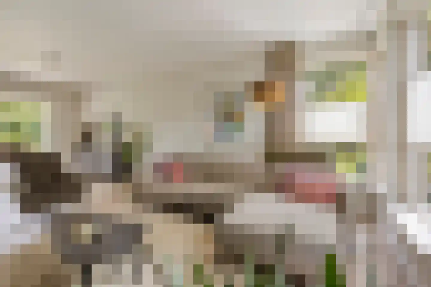 Sint Victor 2 Bergeijk thumbnail 8