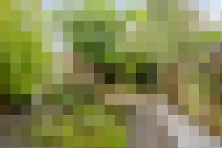 Sint Victor 3 Bergeijk thumbnail 22
