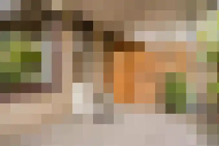 Sint Victor 3 Bergeijk thumbnail 24