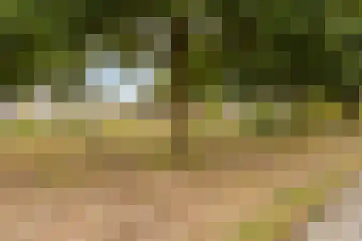 Sint Victor 3 Bergeijk thumbnail 25