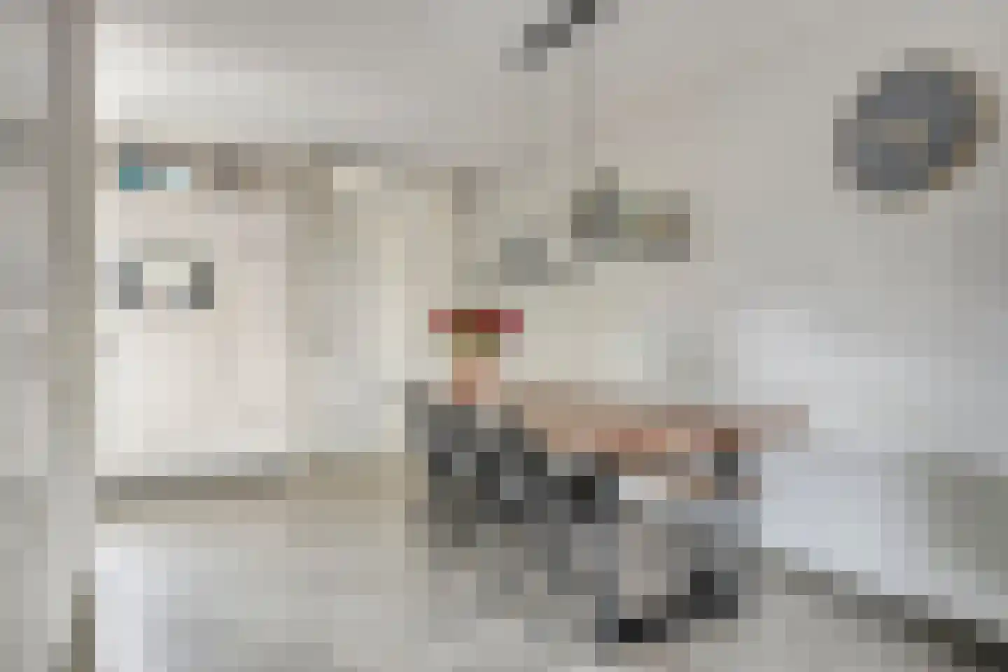 Sint Victor 43 Bergeijk thumbnail 4