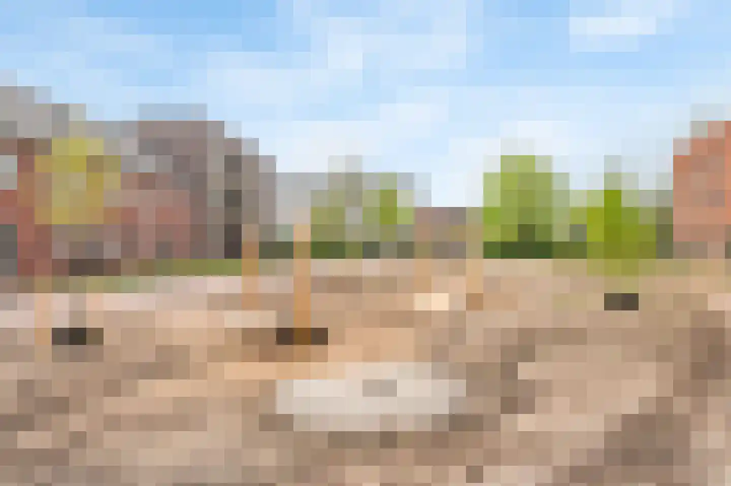 Sint Vincentiusplantsoen 64 Noordwijkerhout thumbnail 28