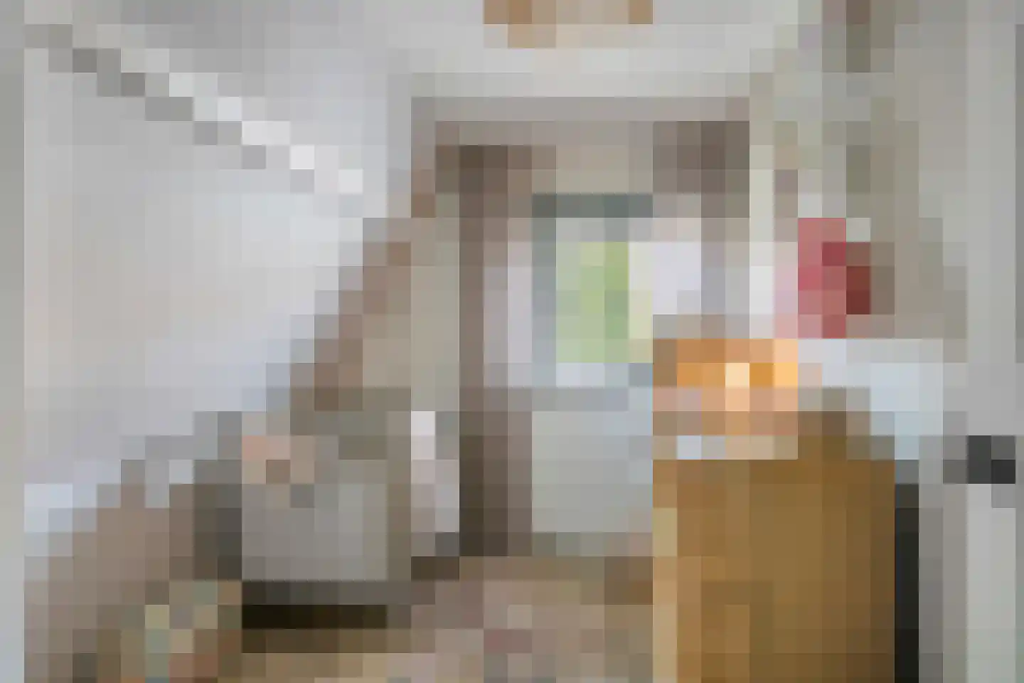 Sint Vincentiusstraat 4 Oosterhout thumbnail 26