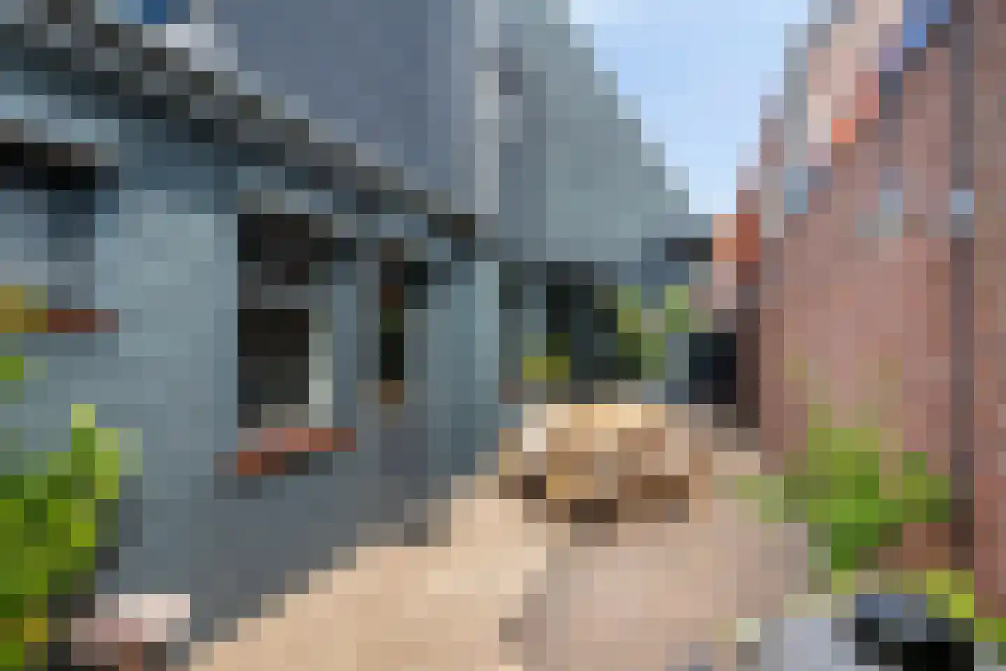 Sint Vincentiusstraat 4 Oosterhout thumbnail 31