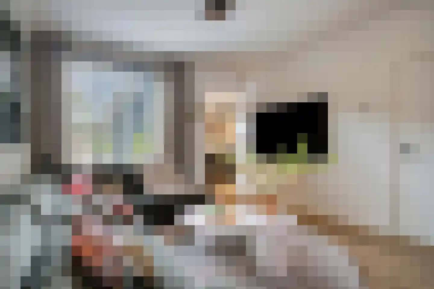 Sint Vincentiusstraat 4 Oosterhout thumbnail 6