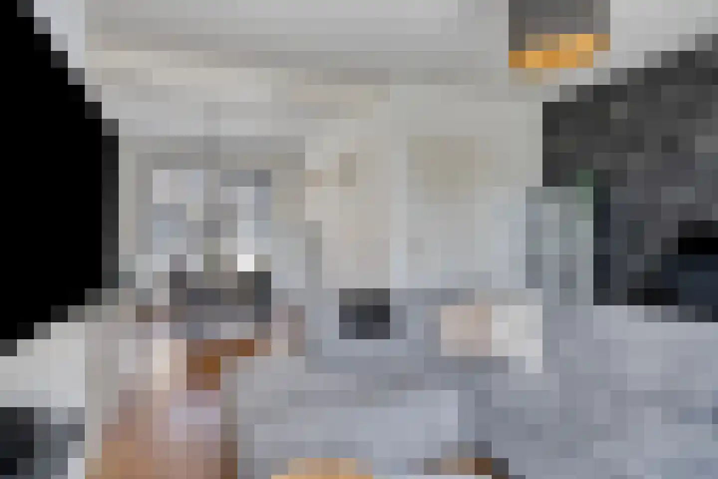 Sint Vincentiusstraat 89 Oosterhout thumbnail 14