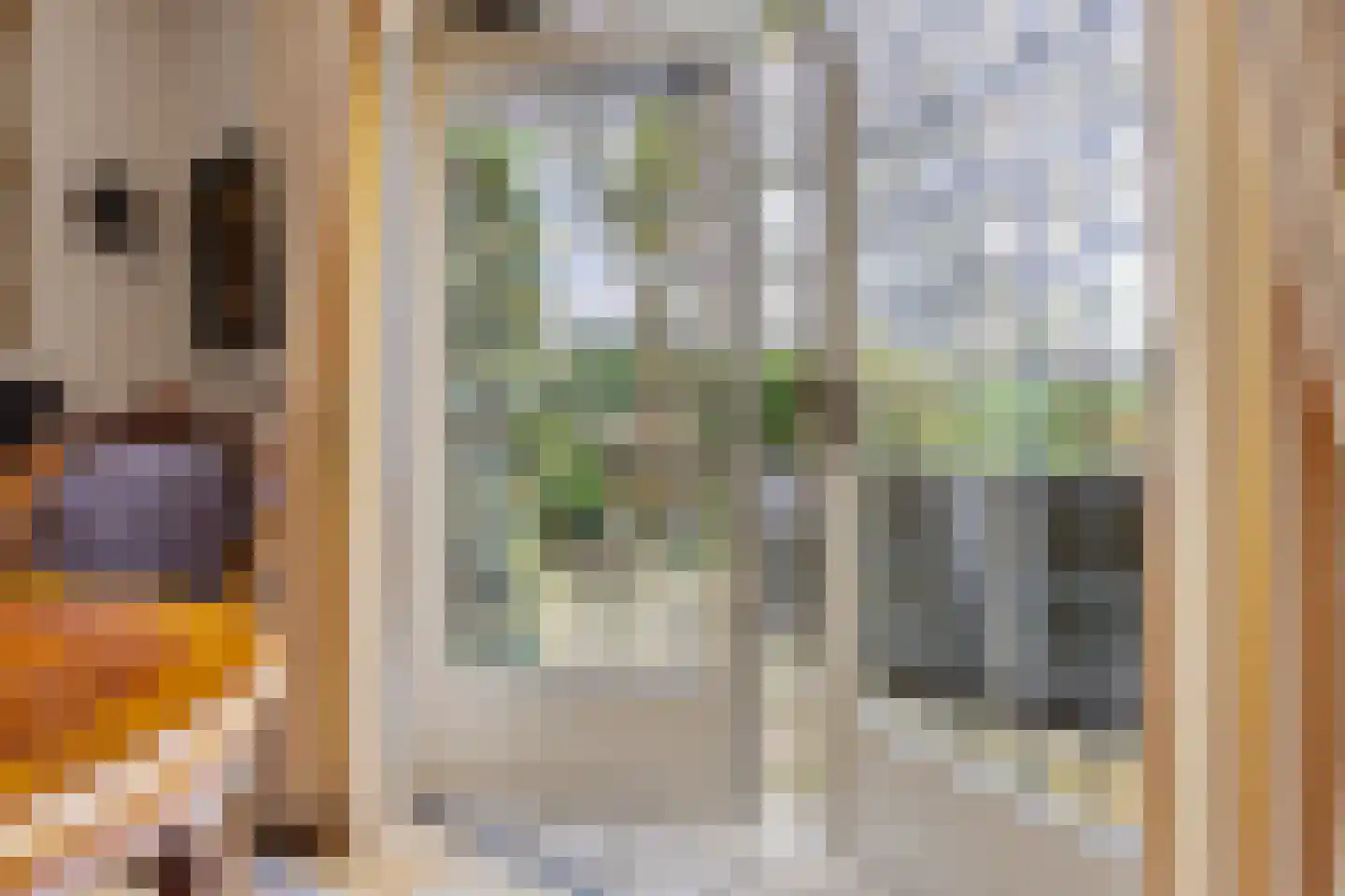 Sint Vitusstraat 1 Well L thumbnail 13