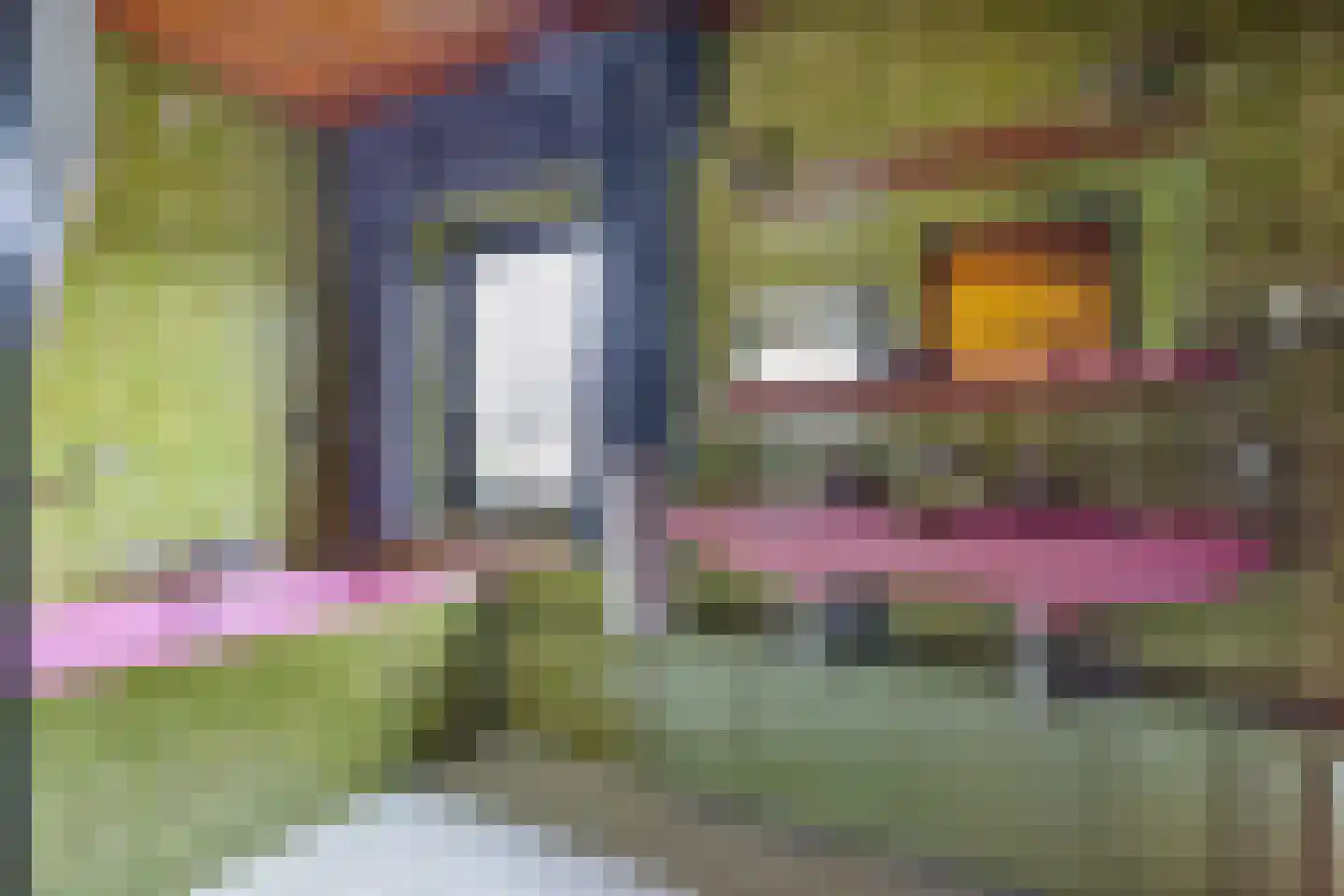 Sint Vitusstraat 1 Well L thumbnail 32