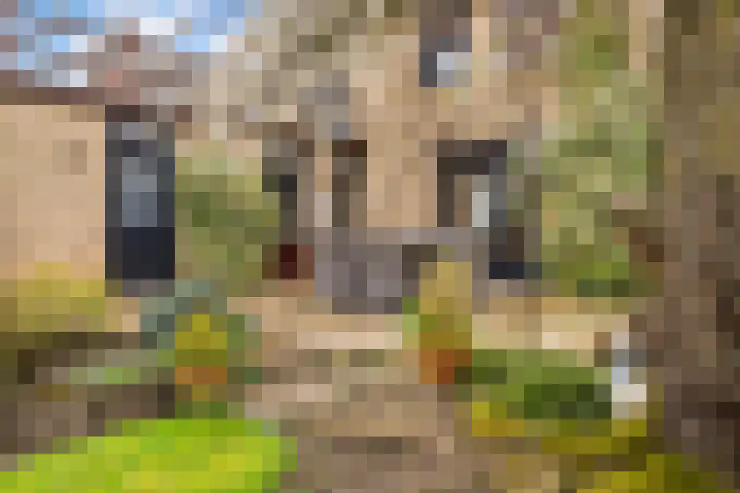 Sint Vitusstraat 1 Well L thumbnail 43