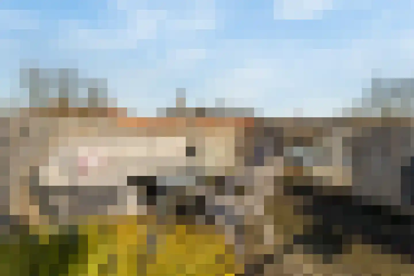 Sint Vitusstraat 29 B Bussum thumbnail 33