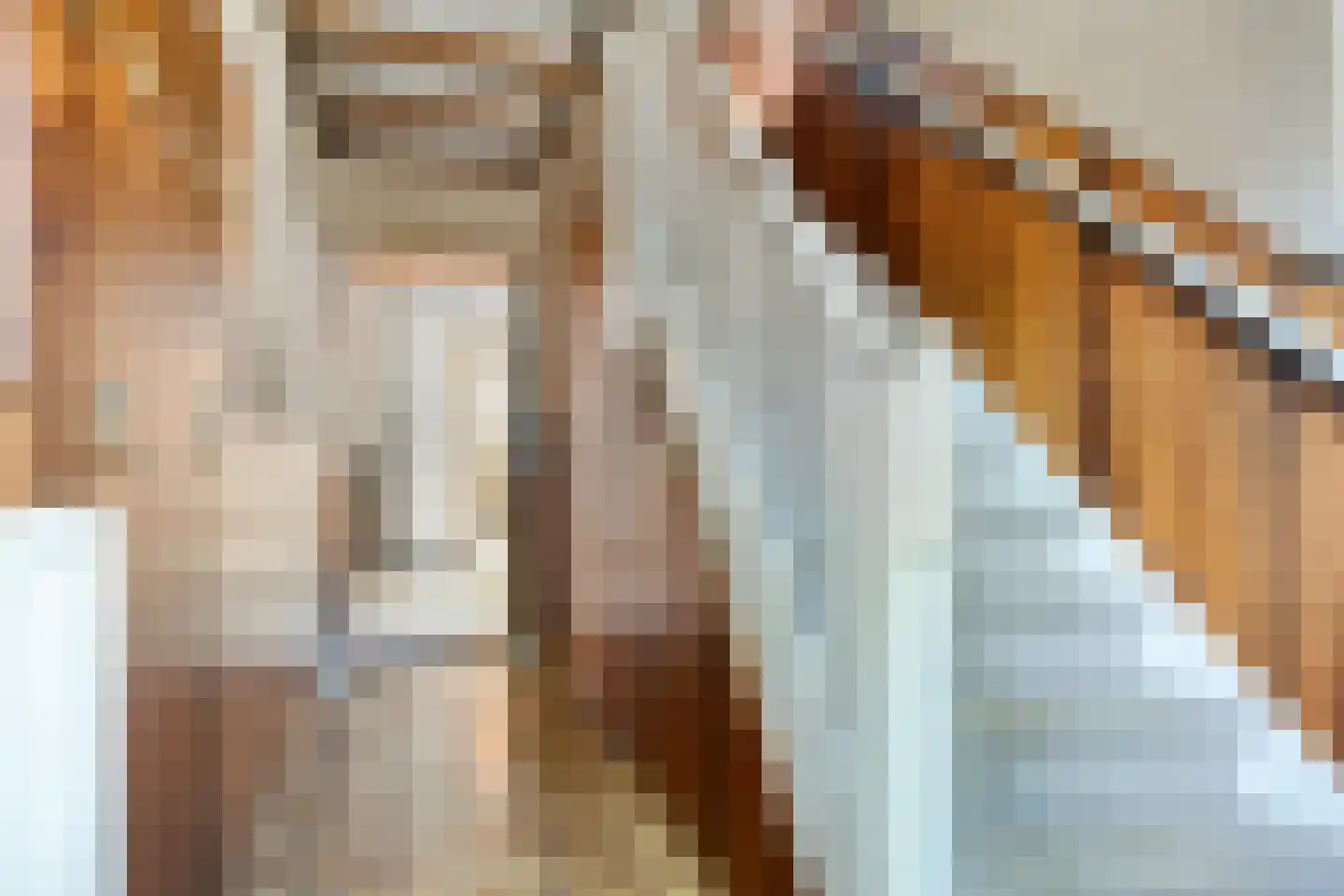 Sint Vitusstraat 3 Well L thumbnail 5