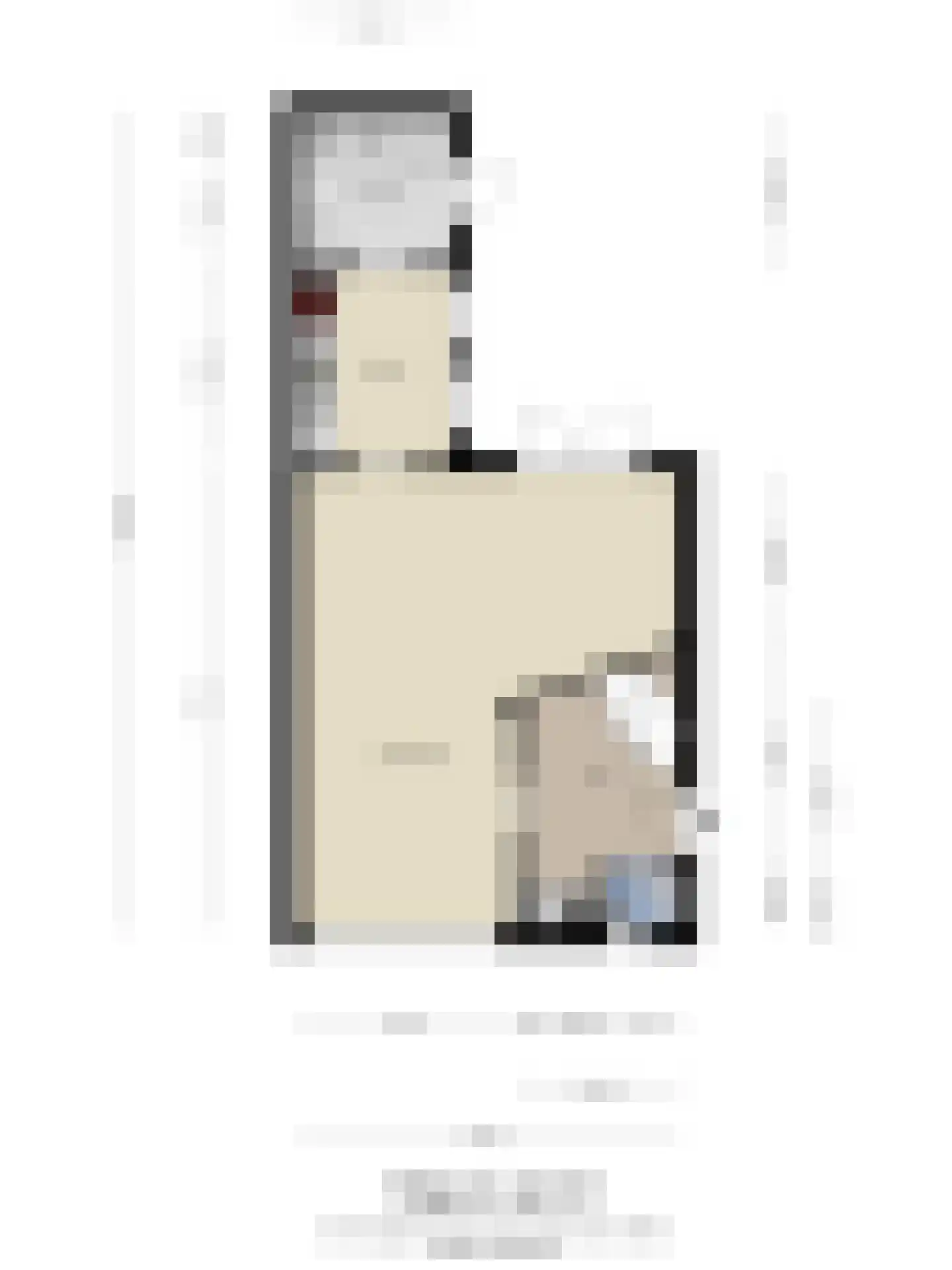Sint Vitusstraat 62 Well L thumbnail 34