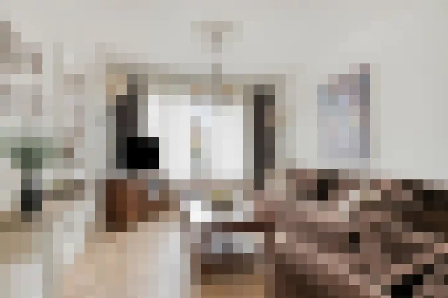 Sint Vitusstraat 62 Well L thumbnail 7