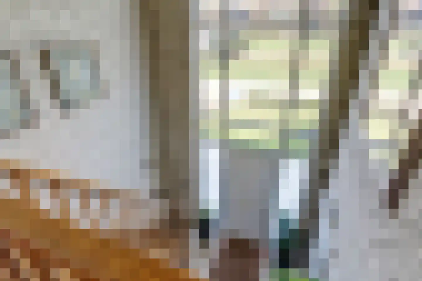Sint Walburg 1 Zetten thumbnail 20