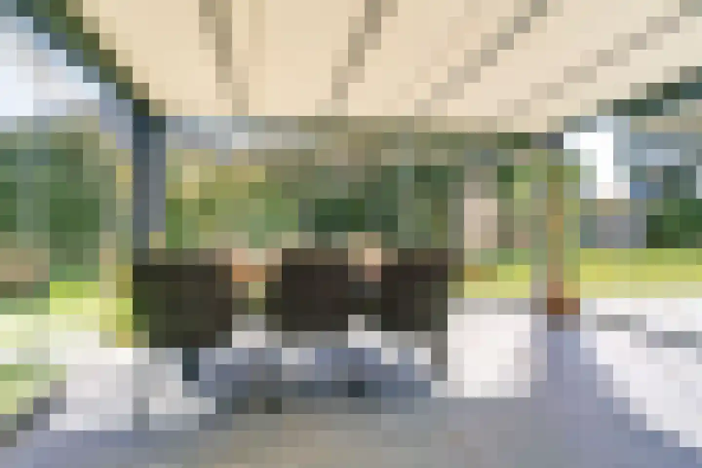 Sint Walburg 1 Zetten thumbnail 28