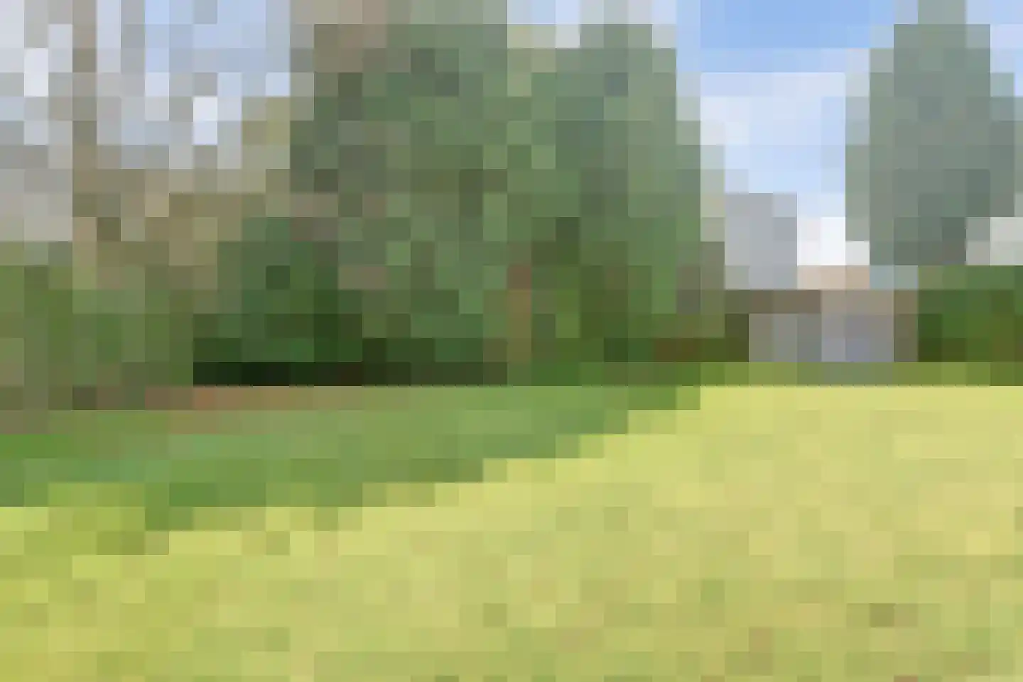 Sint Walburg 1 Zetten thumbnail 32