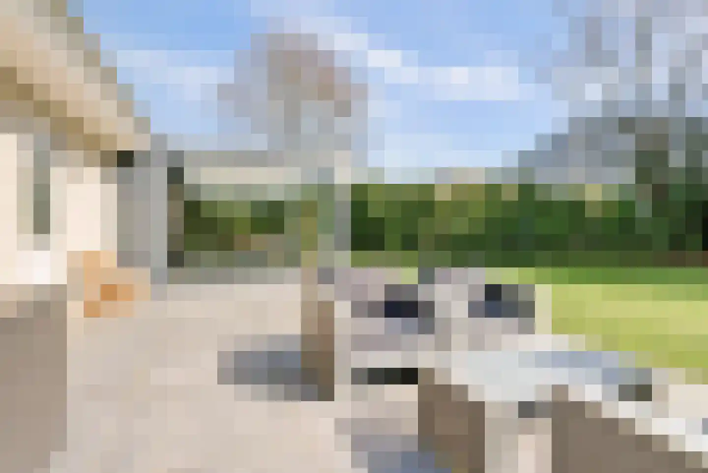 Sint Walburg 1 Zetten thumbnail 35
